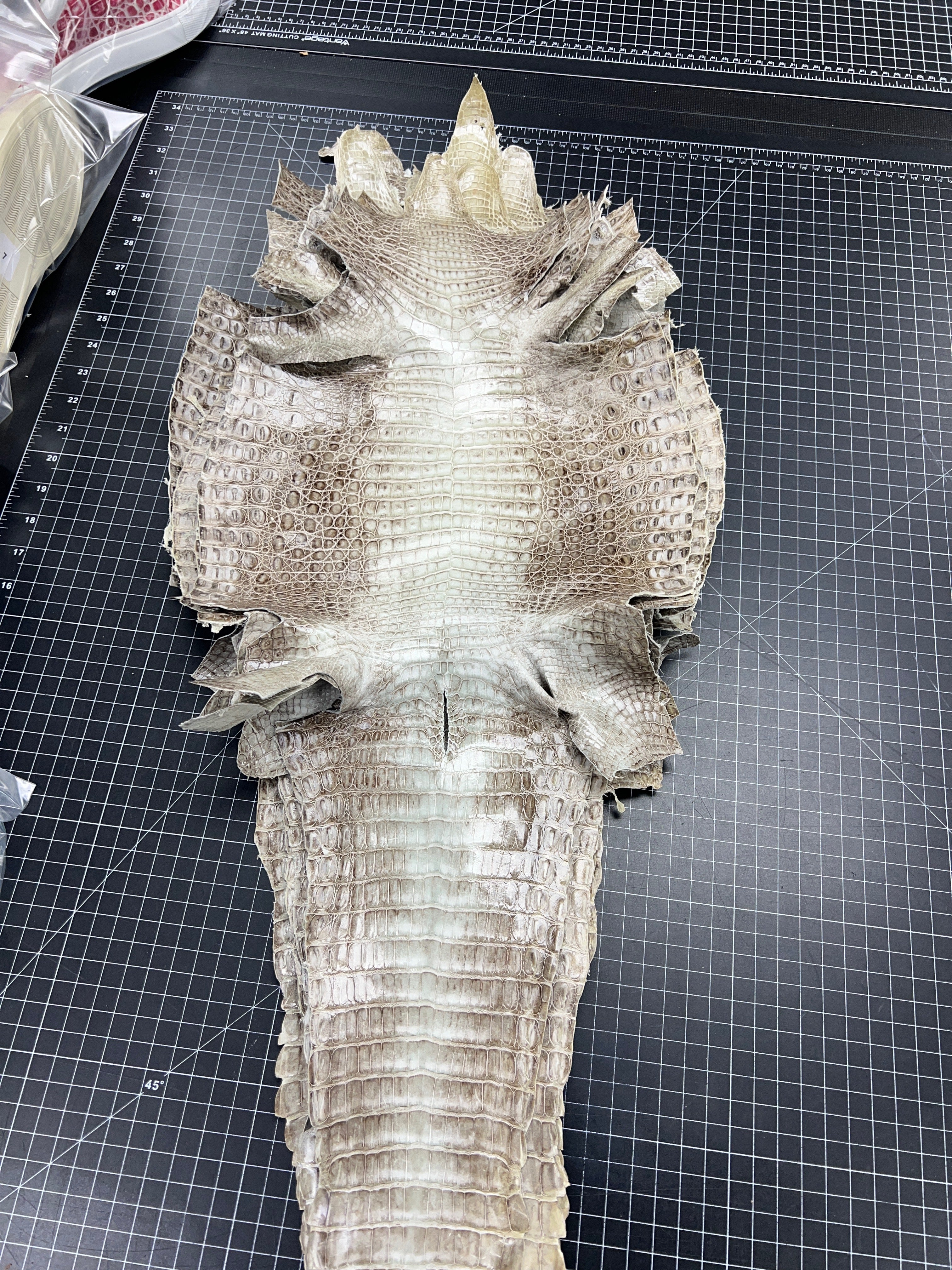 Himalayan Crocodile Belt - 1.5" width