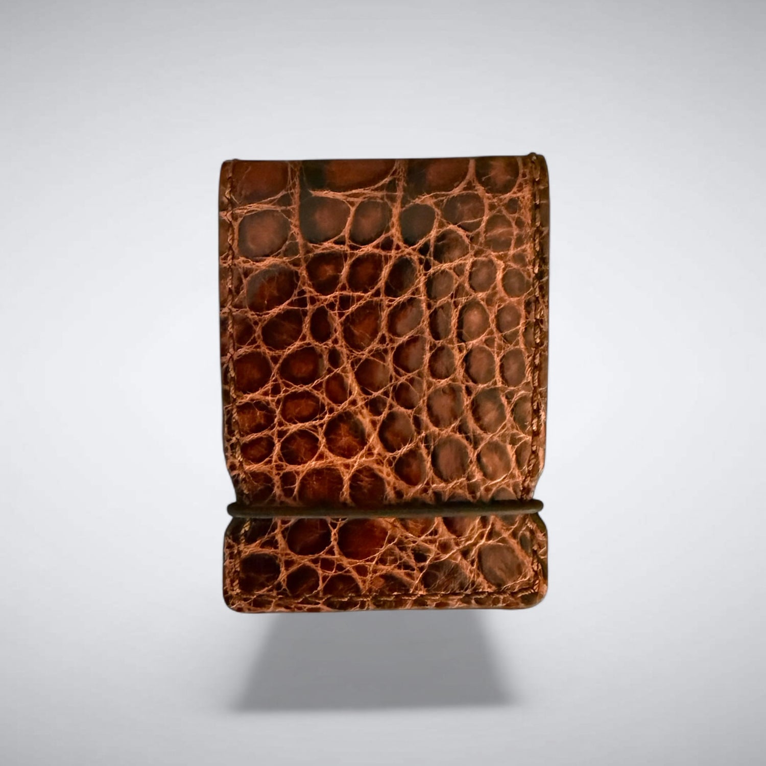 Alligator Cash Cover:  Amber Eclipse