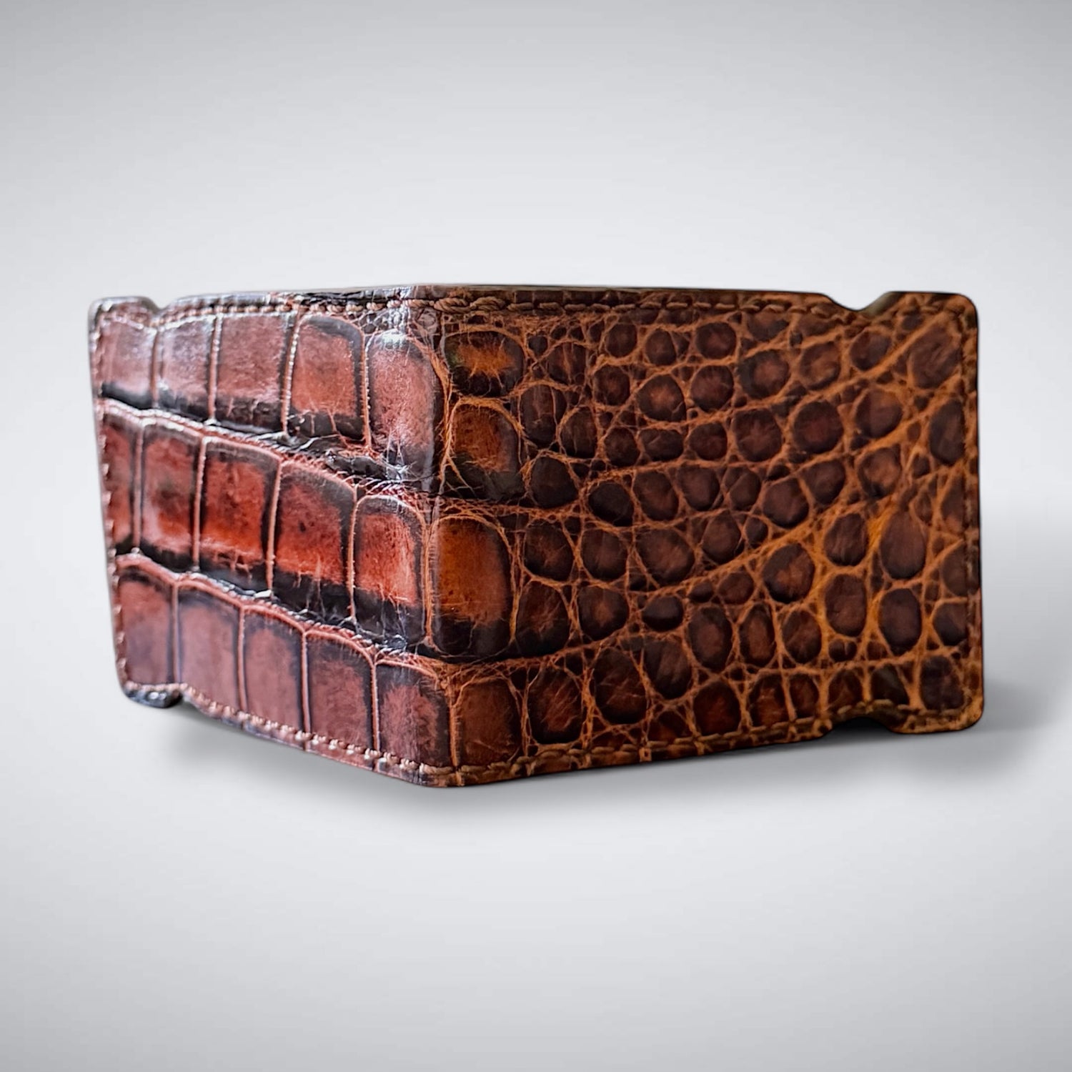 Alligator Cash Cover:  Amber Eclipse