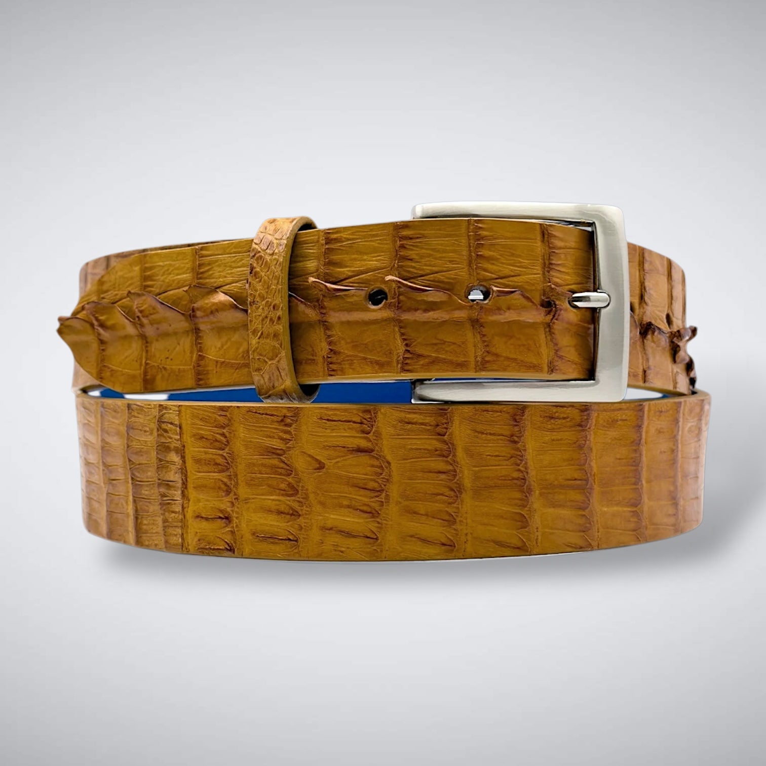 Matte Caiman Hornback with Horn Tips Belt: Antique Saddle