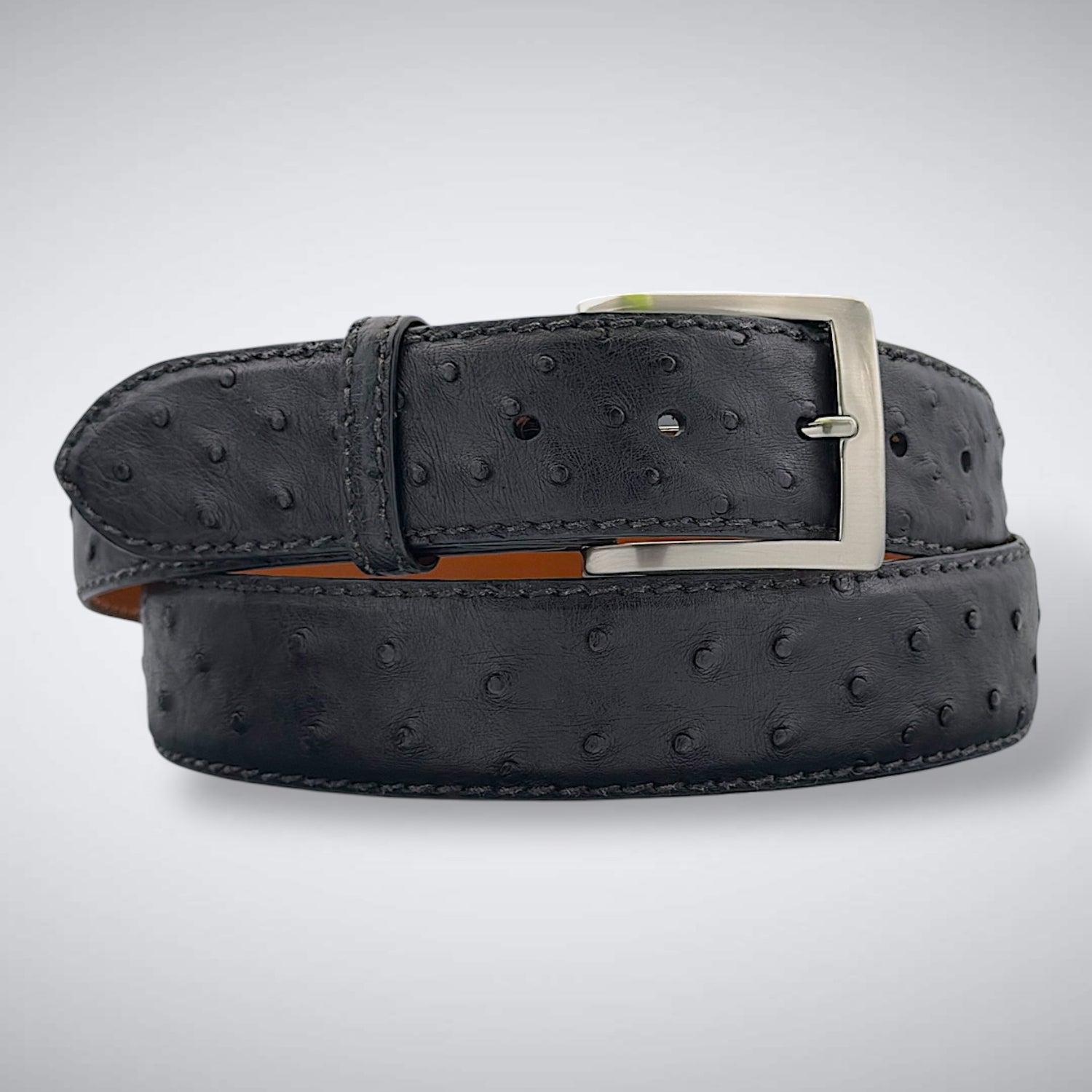 Ostrich Quill Belt: Black