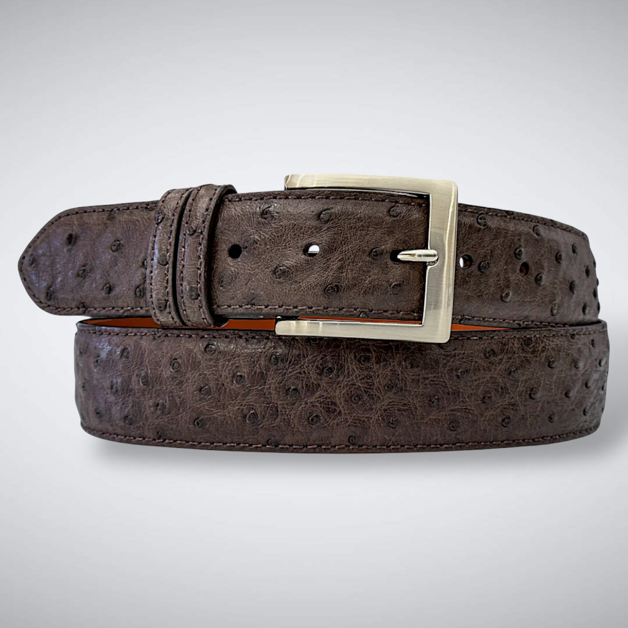 Ostrich Quill Belt: Dark Brown