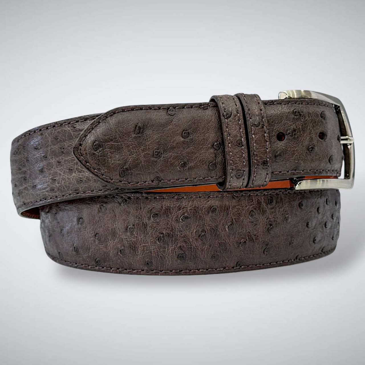 Ostrich Quill Belt: Dark Brown