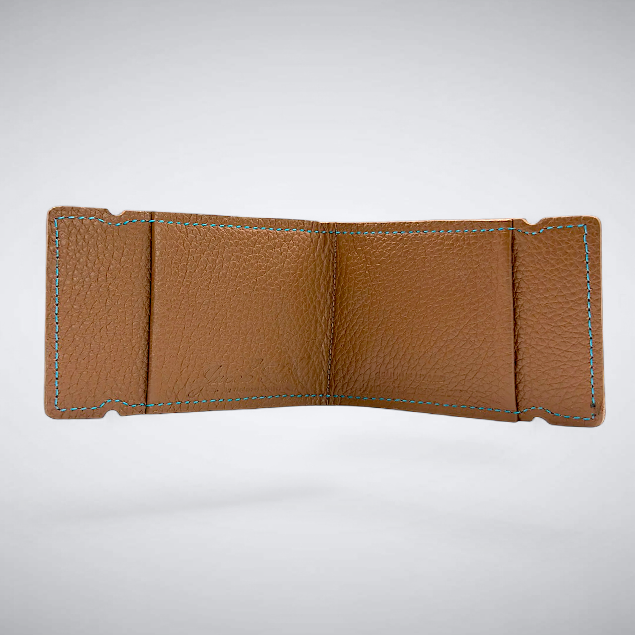 The Emerald Coast Cash Cover — Turquoise Lizard