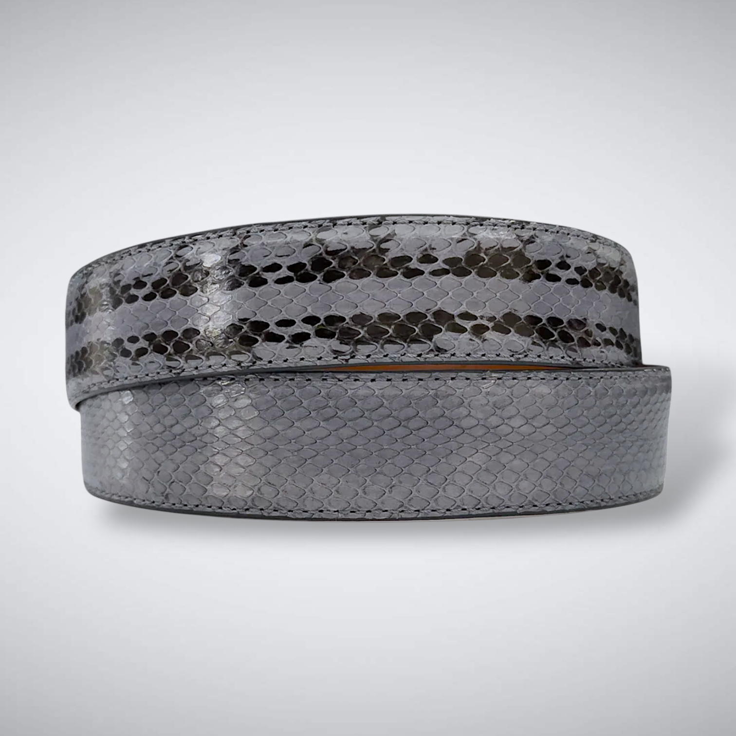 Racer Snake: Grey Ghost
