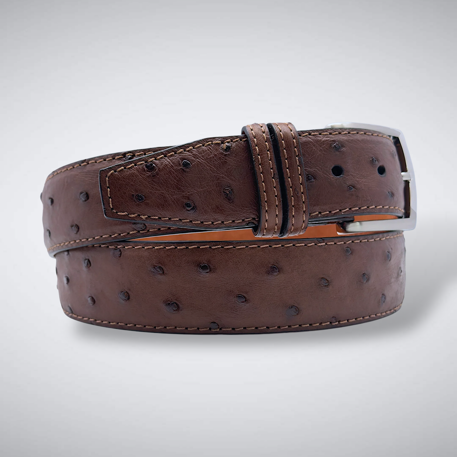 Ostrich Quill Belt: Brown