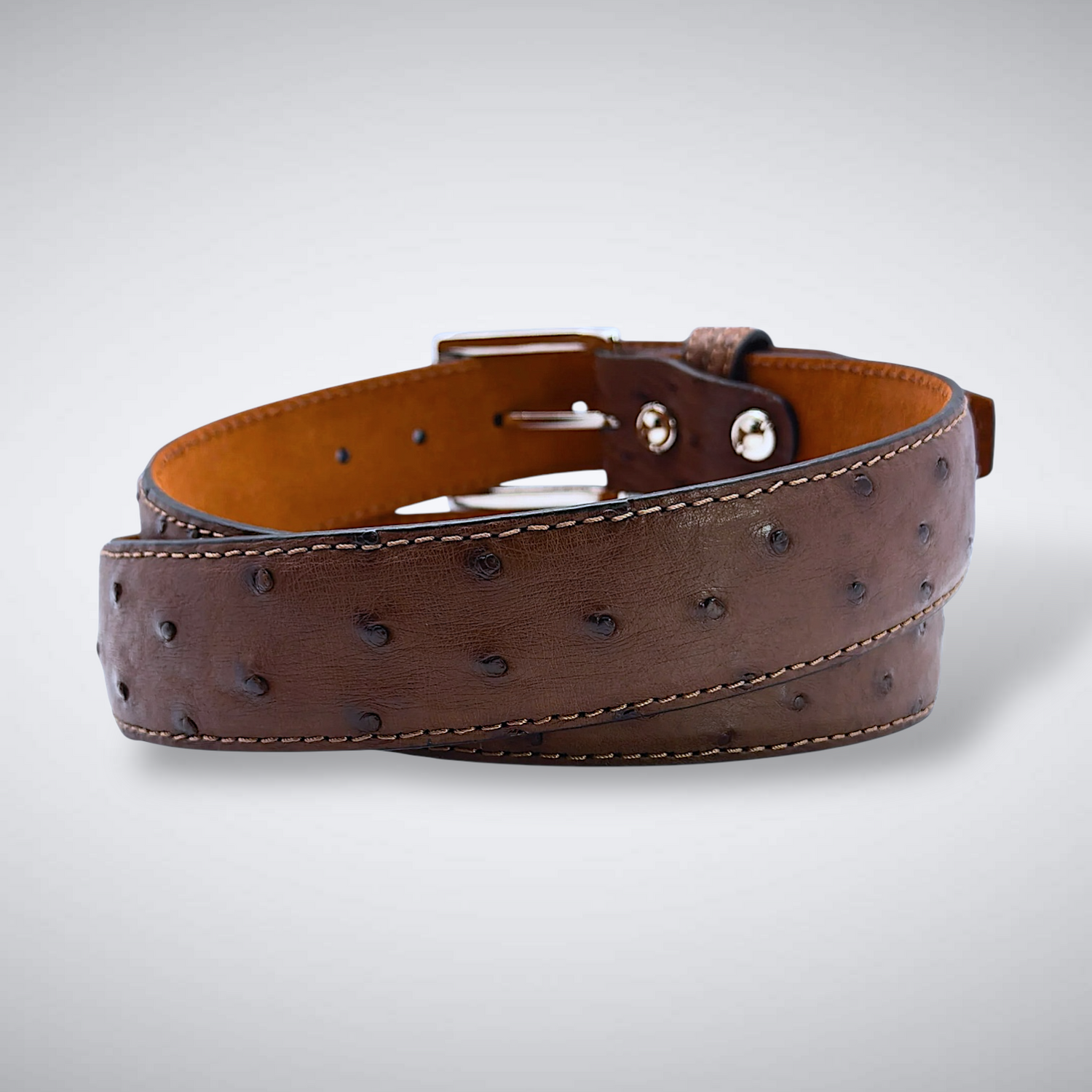 Ostrich Quill Belt: Brown
