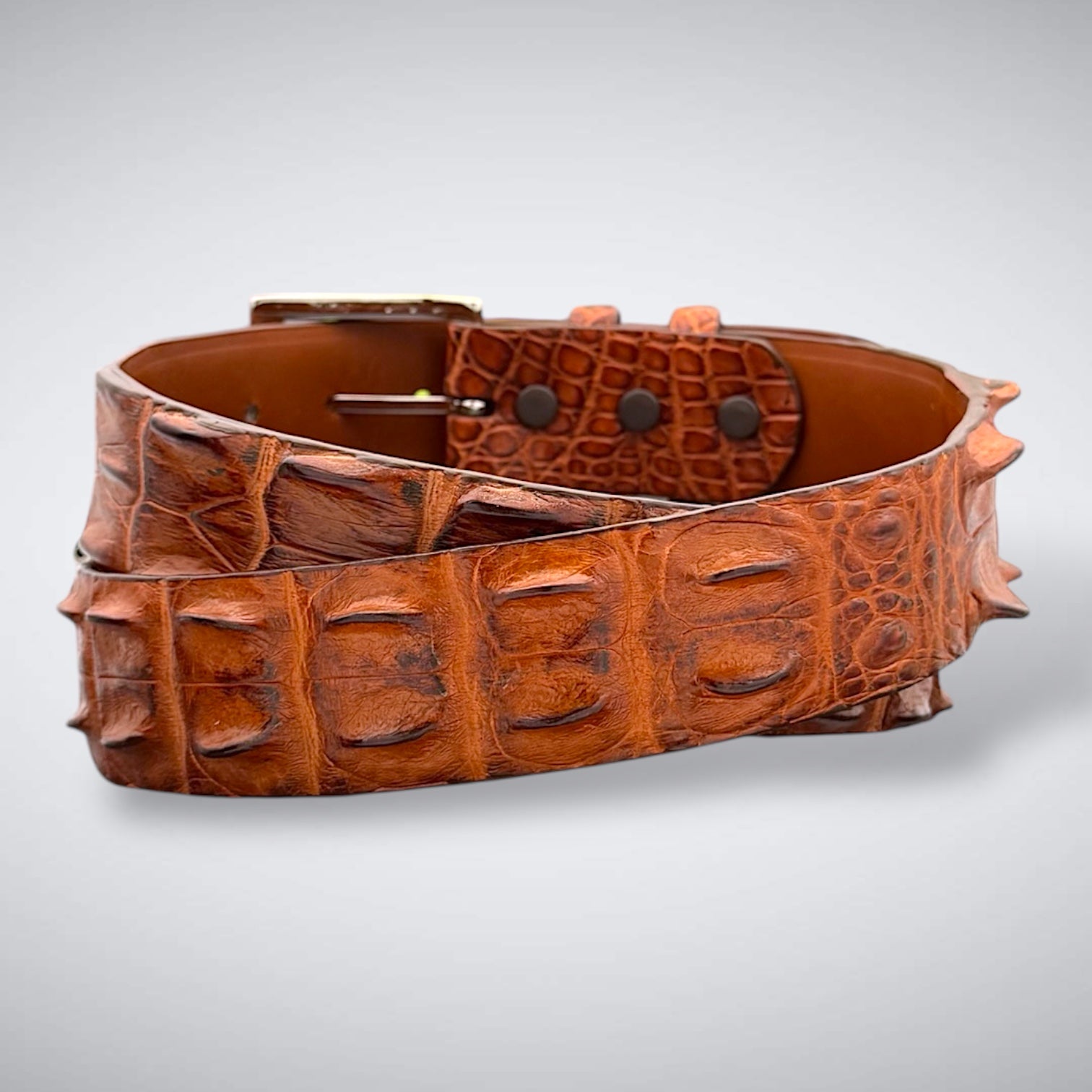 Saltwater Crocodile Belt: Burnished Cognac