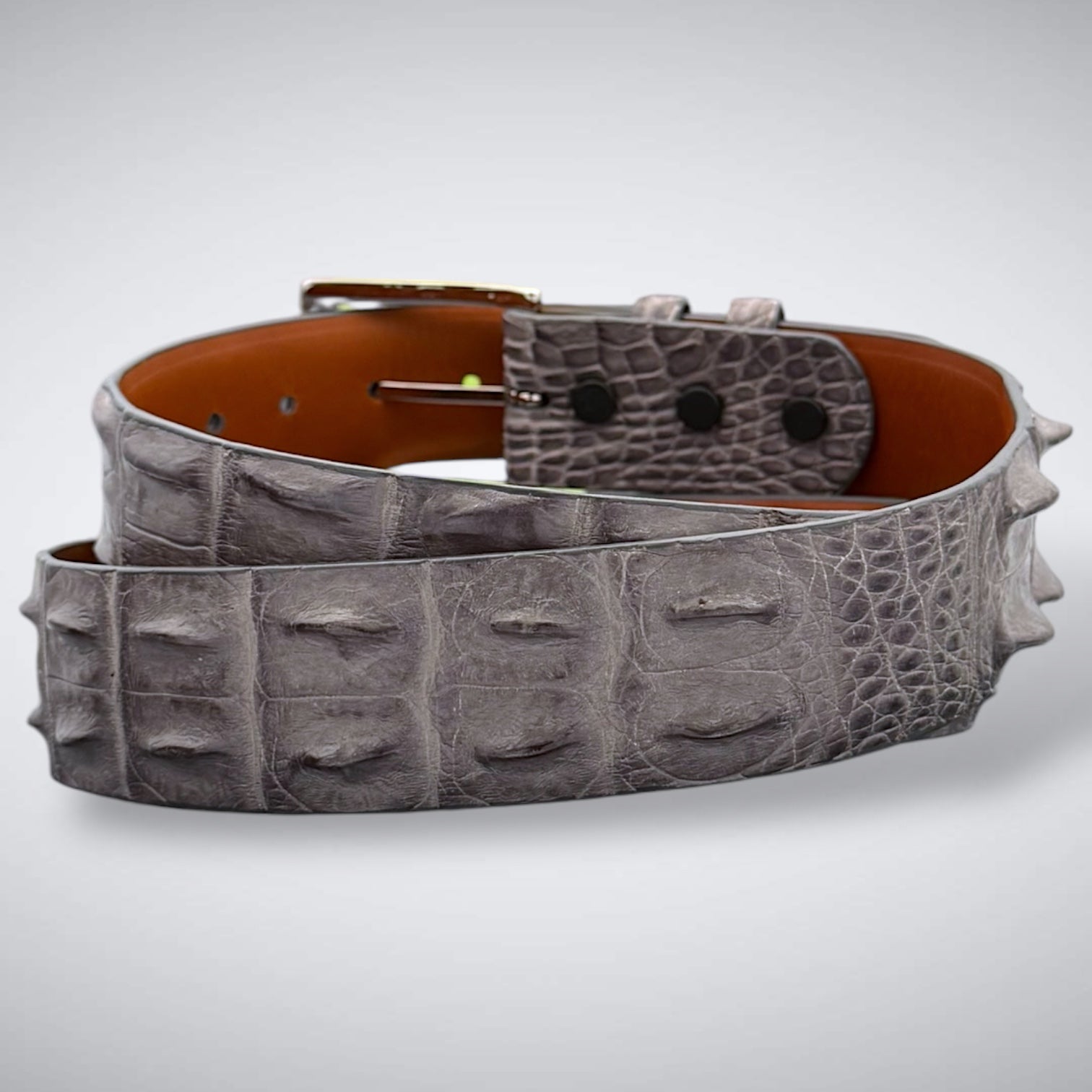 Saltwater Crocodile Belt: Grey