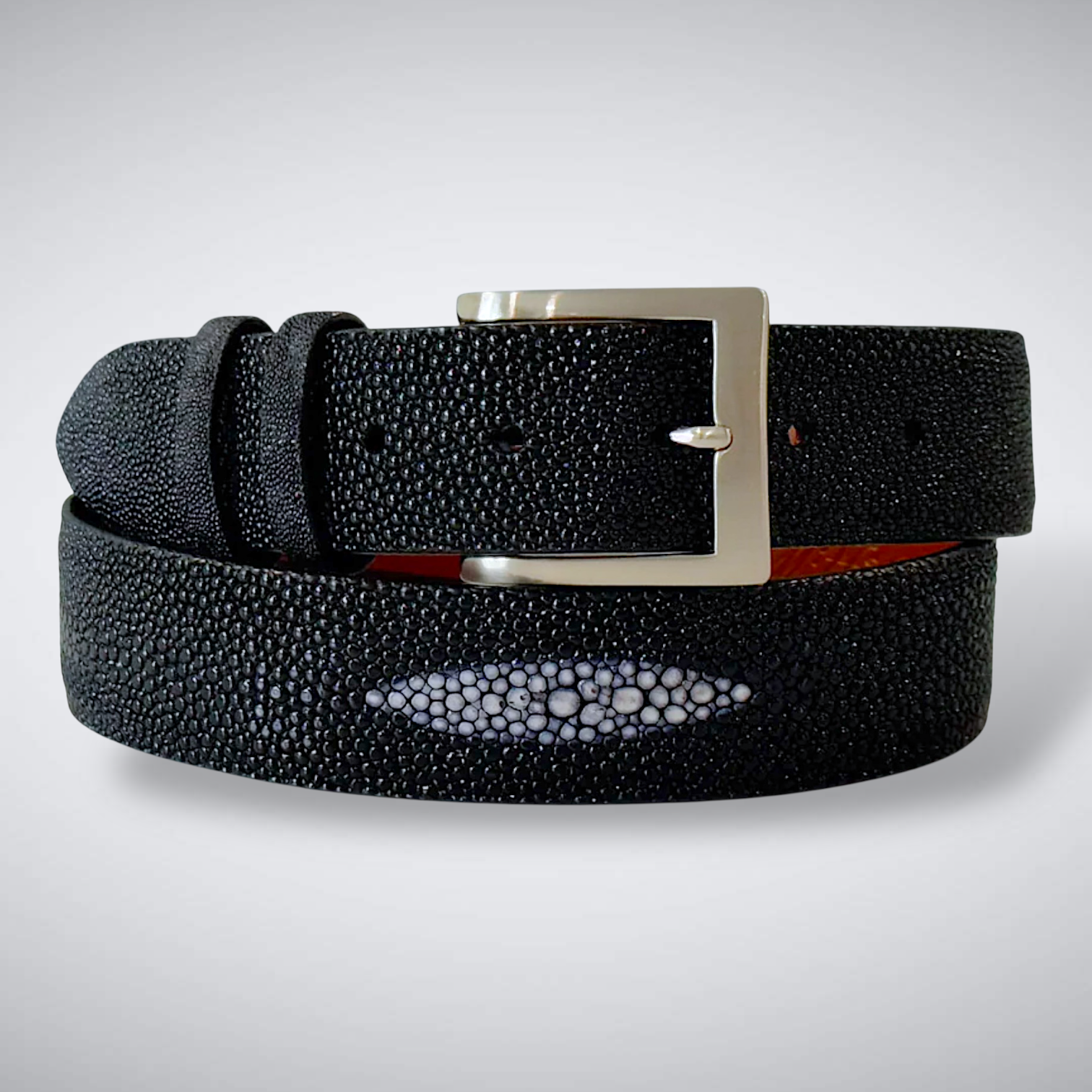 Stingray Belt: Black Single Crown