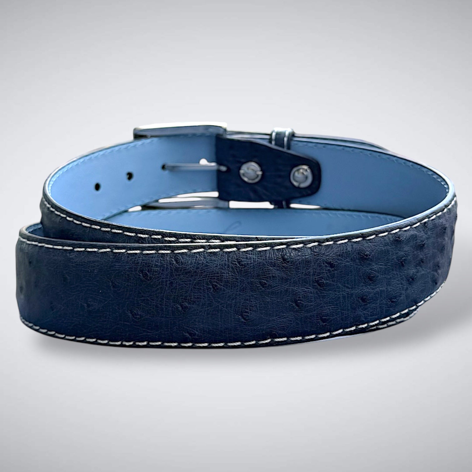 Ready To Ship Ostrich Quill Belt: Blue Quill Ridge
