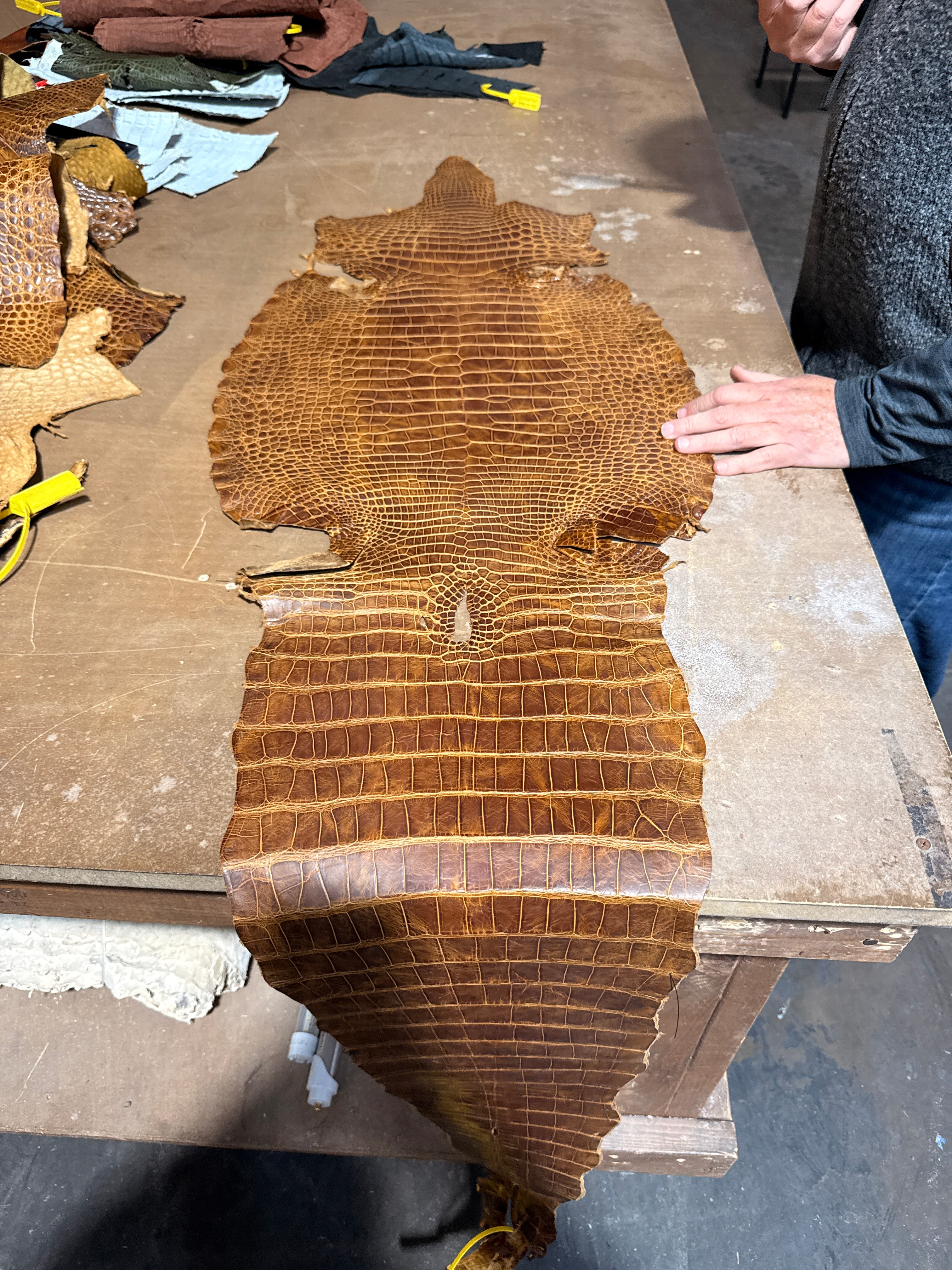 Full Skin of Jacob Hill Leather Sonoran Genuine Alligator