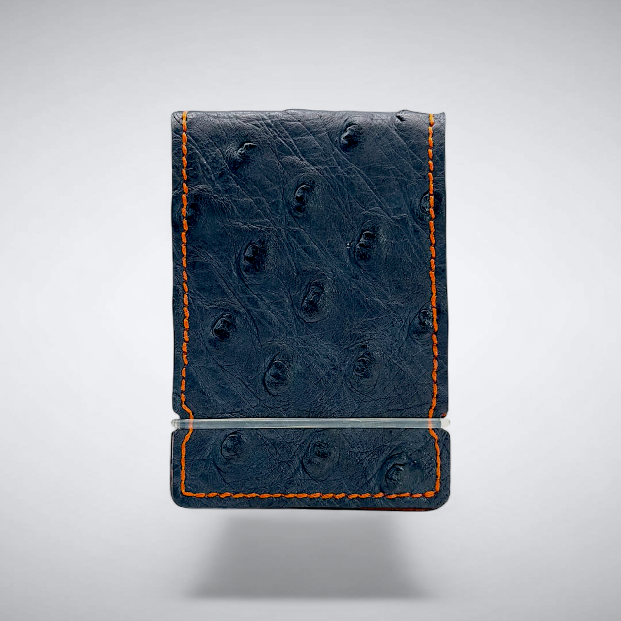 Ostrich Quill Cash Cover: W.D.E