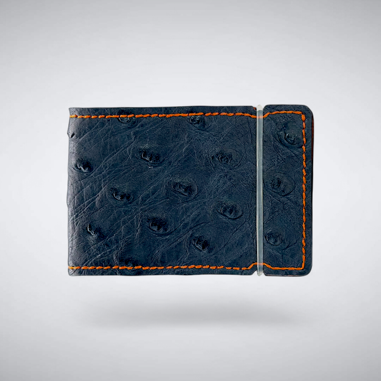 Ostrich Quill Cash Cover: W.D.E