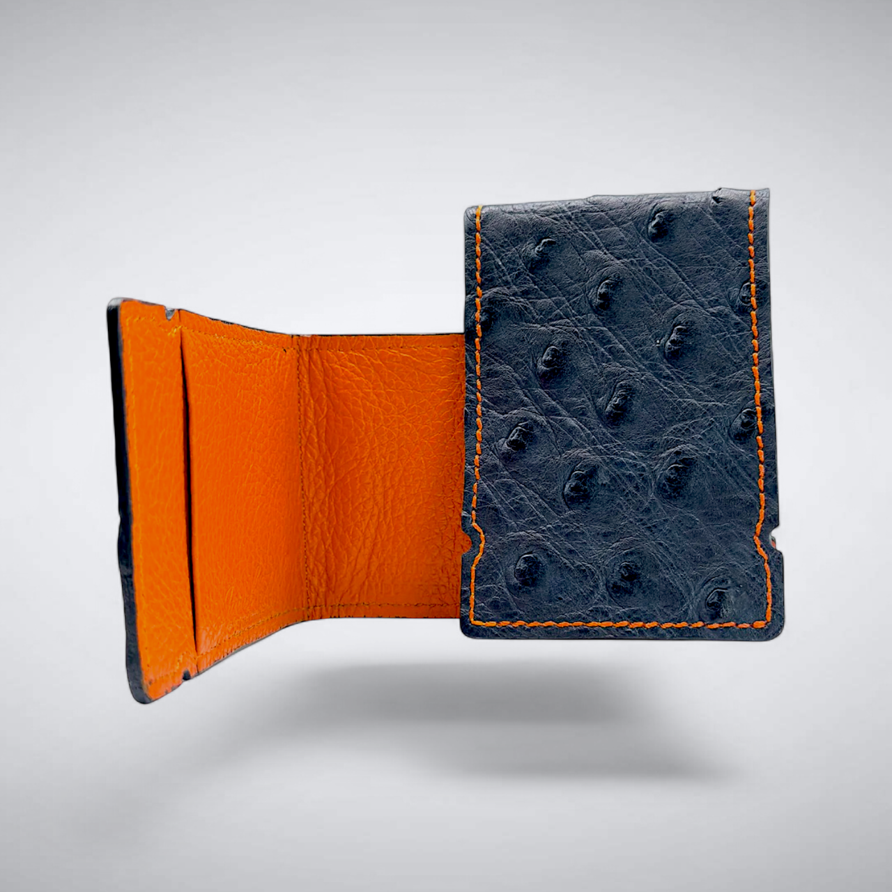 Ostrich Quill Cash Cover: W.D.E