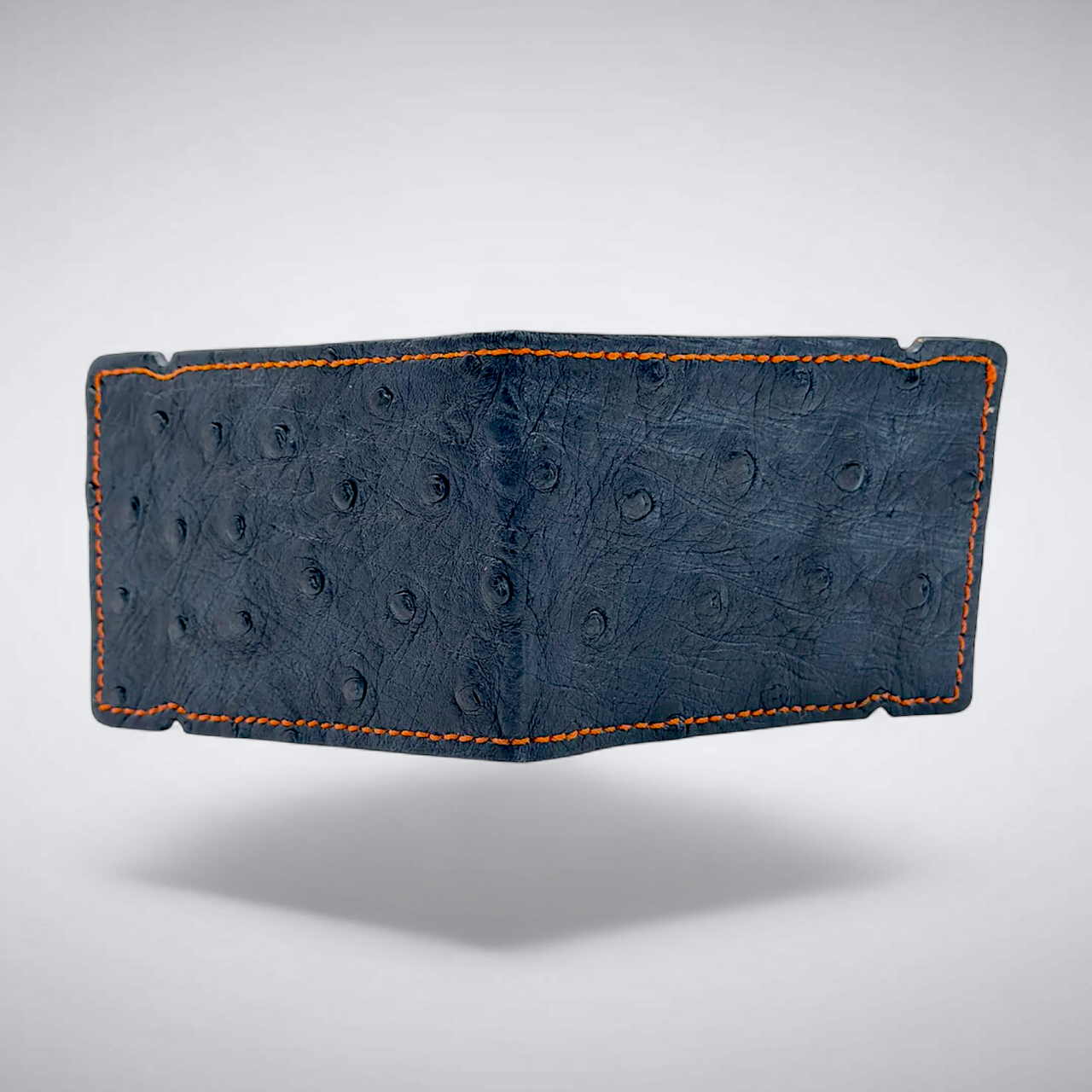 Ostrich Quill Cash Cover: W.D.E