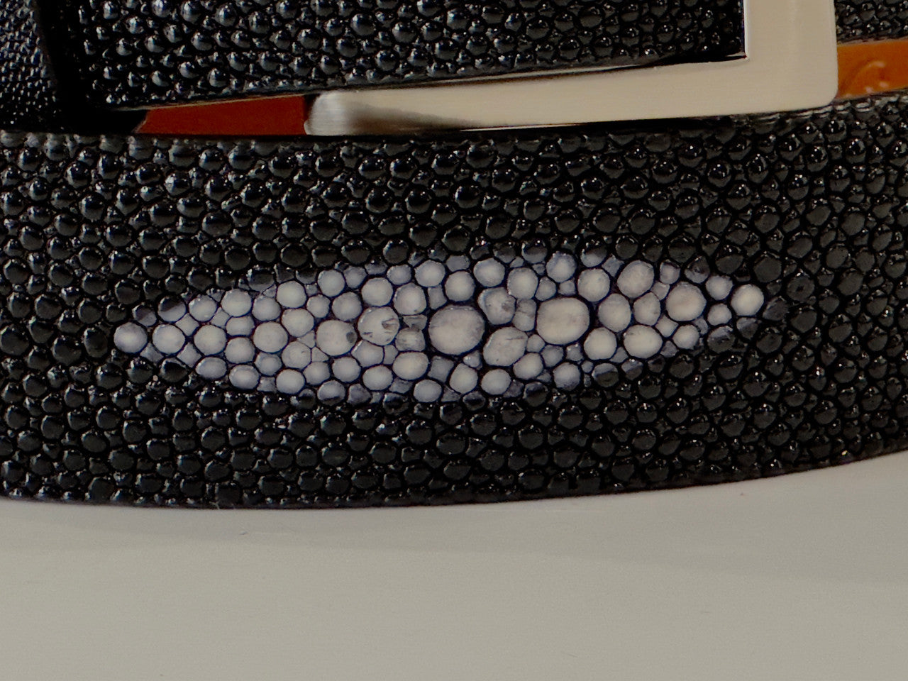 Stingray Belt: Black Single Crown