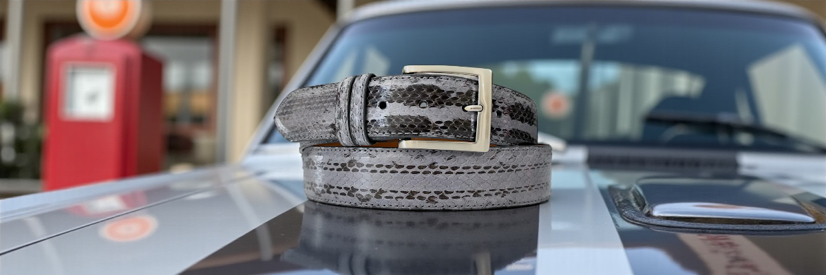 Racer Snakes