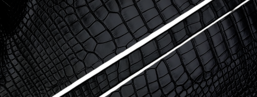Single-Piece American Alligator Belts