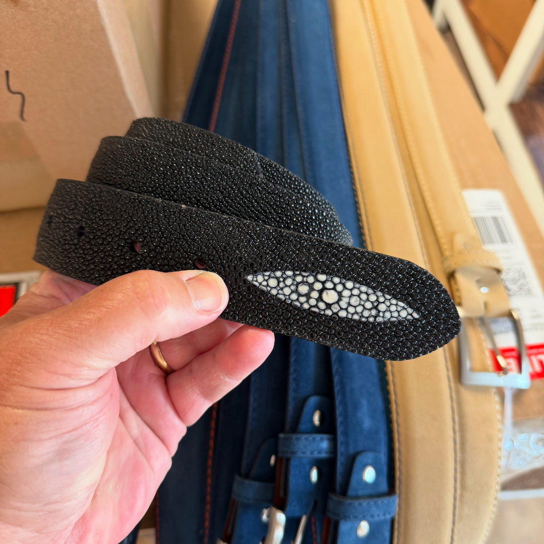 Ready To Ship Stingray Belt: Black w/ crown on the tip (1.5&quot; width)