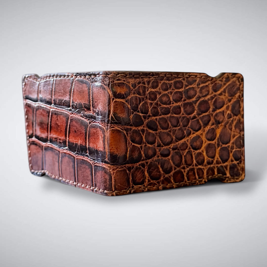 Alligator Cash Cover:  Amber Eclipse