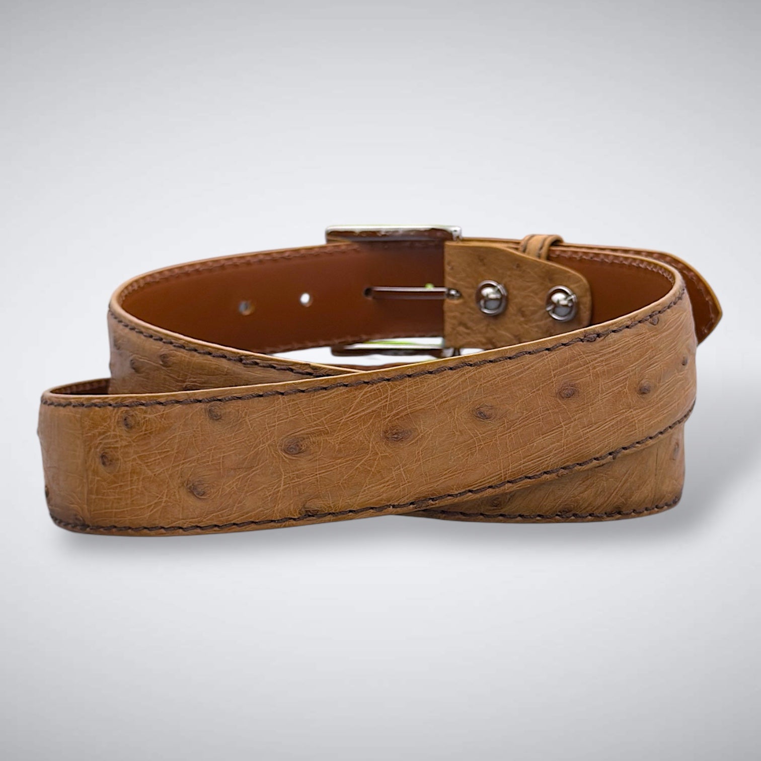 Ostrich Belt — Antique Saddle