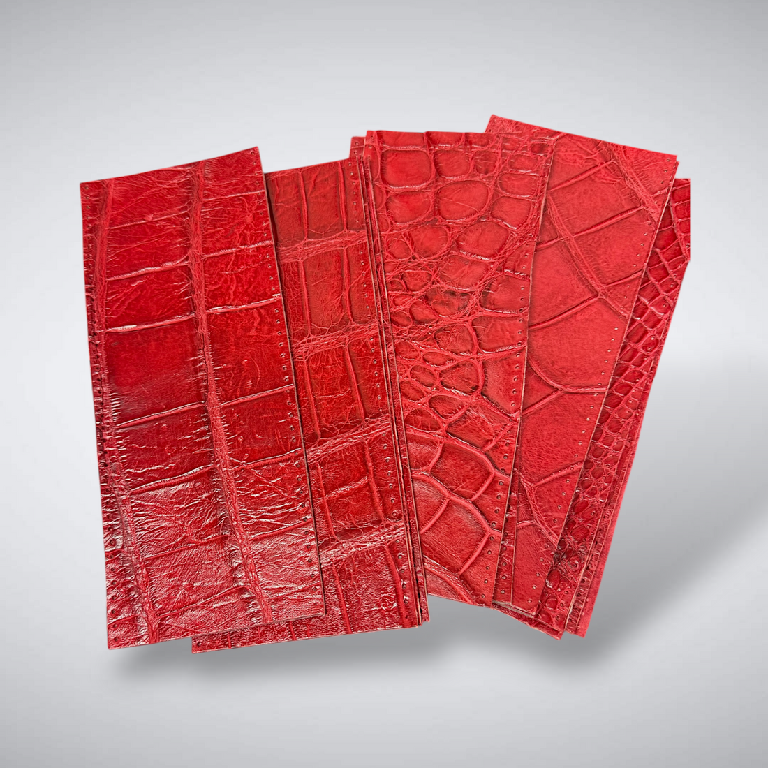 Azalea Cash Cover - Azalea Alligator Cash Cover