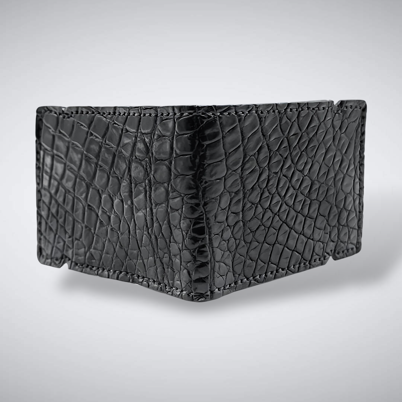 Alligator Cash Cover: Black Millennium