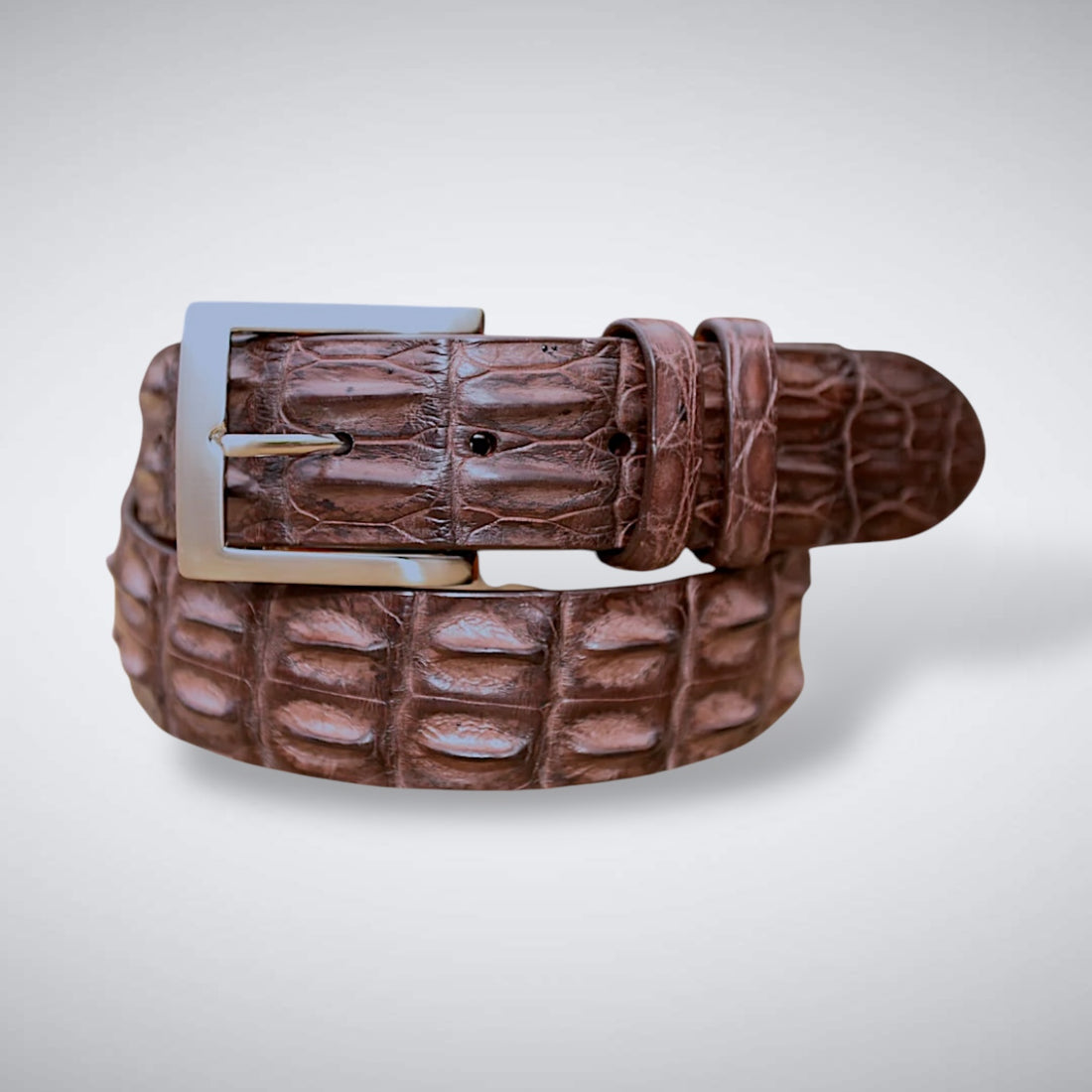 A brown saltwater crocodile belt with a silver buckle, displayed against a plain background.
