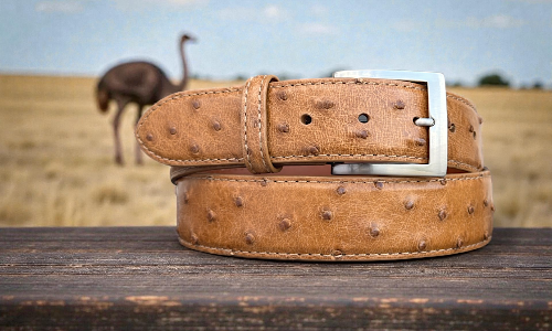 Ostrich Belts