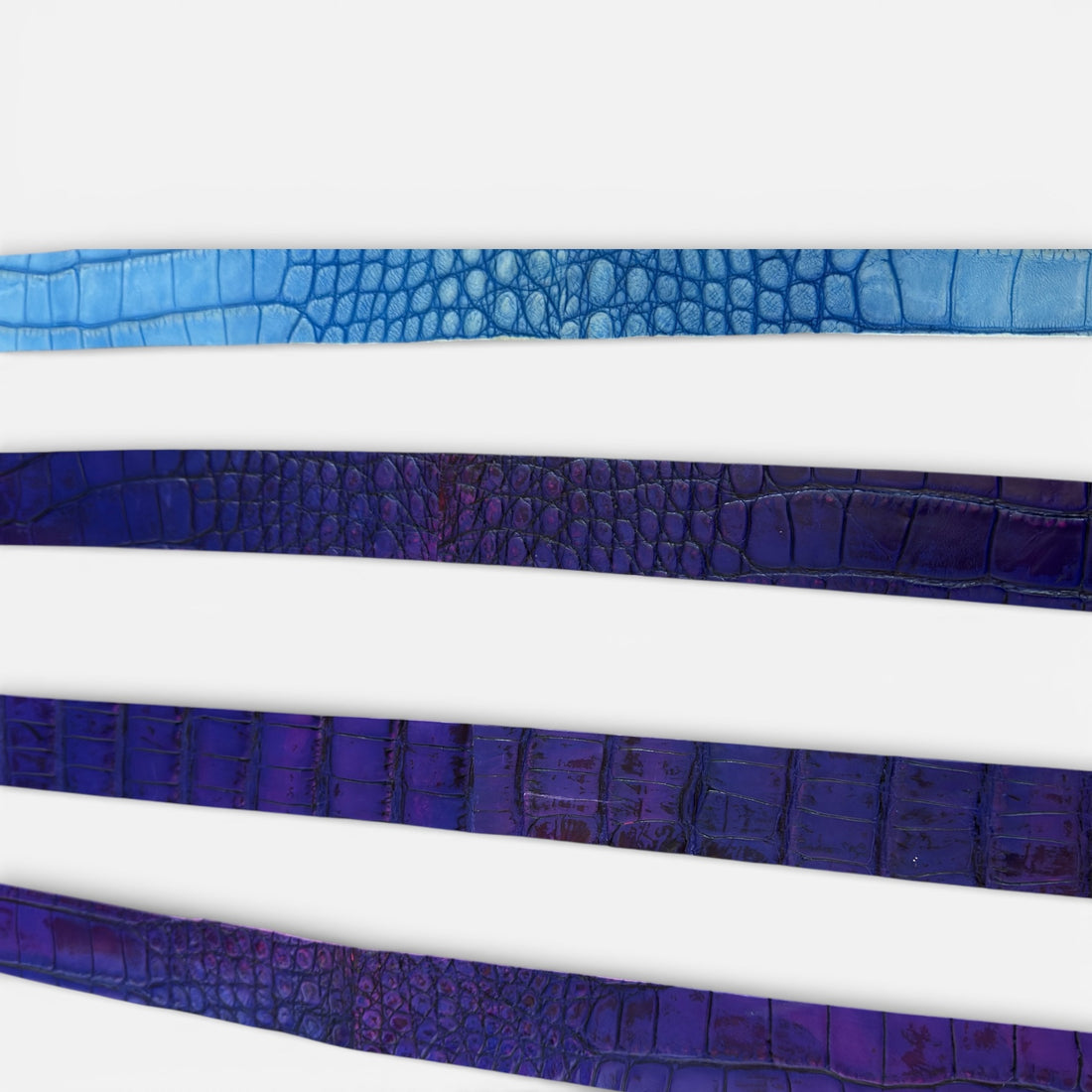 Selvedge Reserve – Vault Alligator Belt