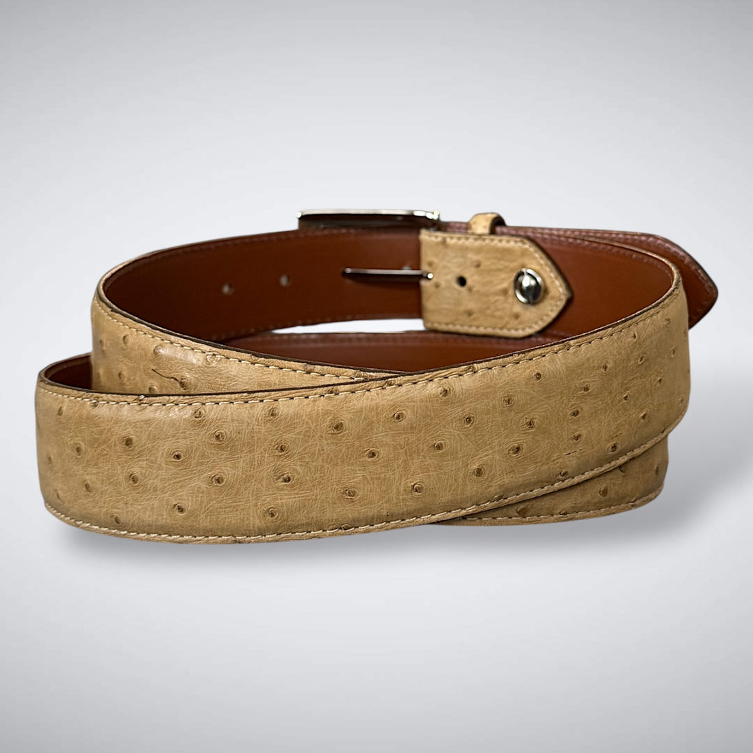 Ready To Ship Ostrich Quill Belt: English Saddle 1.5&quot; width