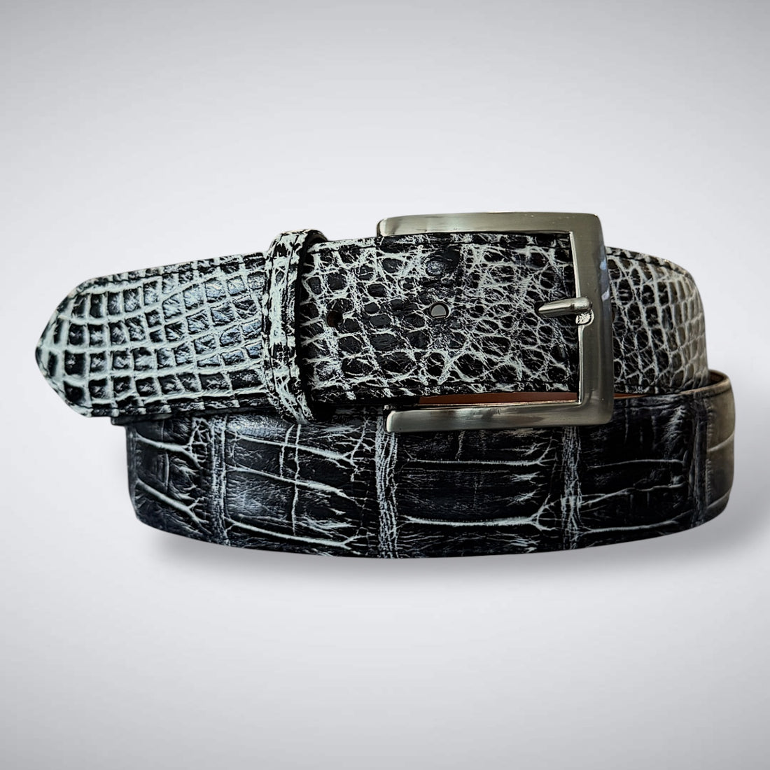 Ready To Ship Alligator Belt: Newspaper PM (1.5 Wide)