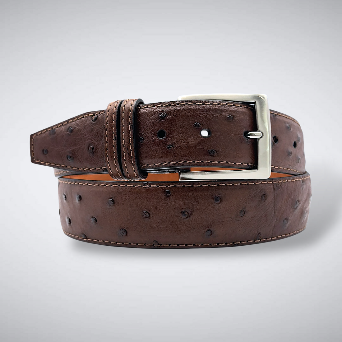 Ostrich Quill Belt: Brown