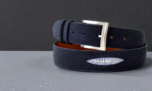 Oceanic Belts