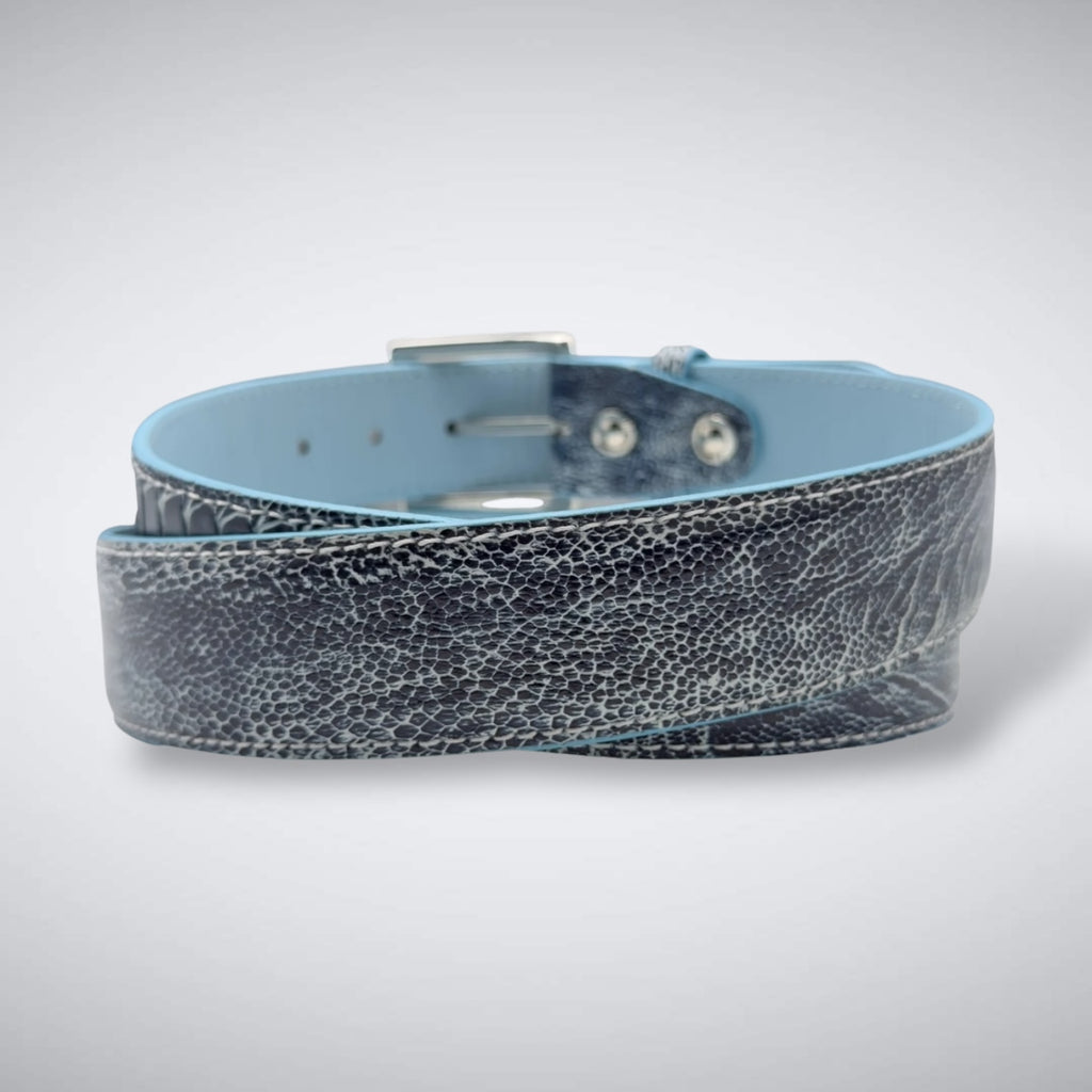 Ostrich Shin Belt — Beyond The Seas