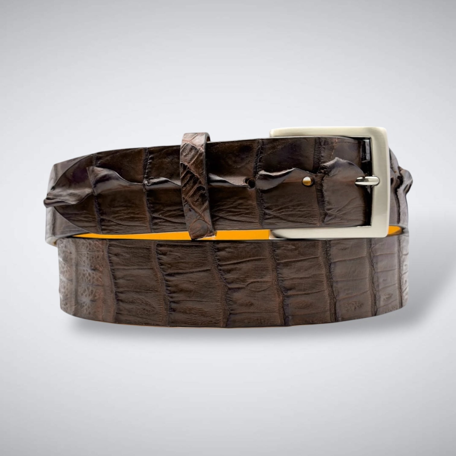 Ready To Ship Hornback Tip Belt: Broadmoor (1.5&quot; Width)