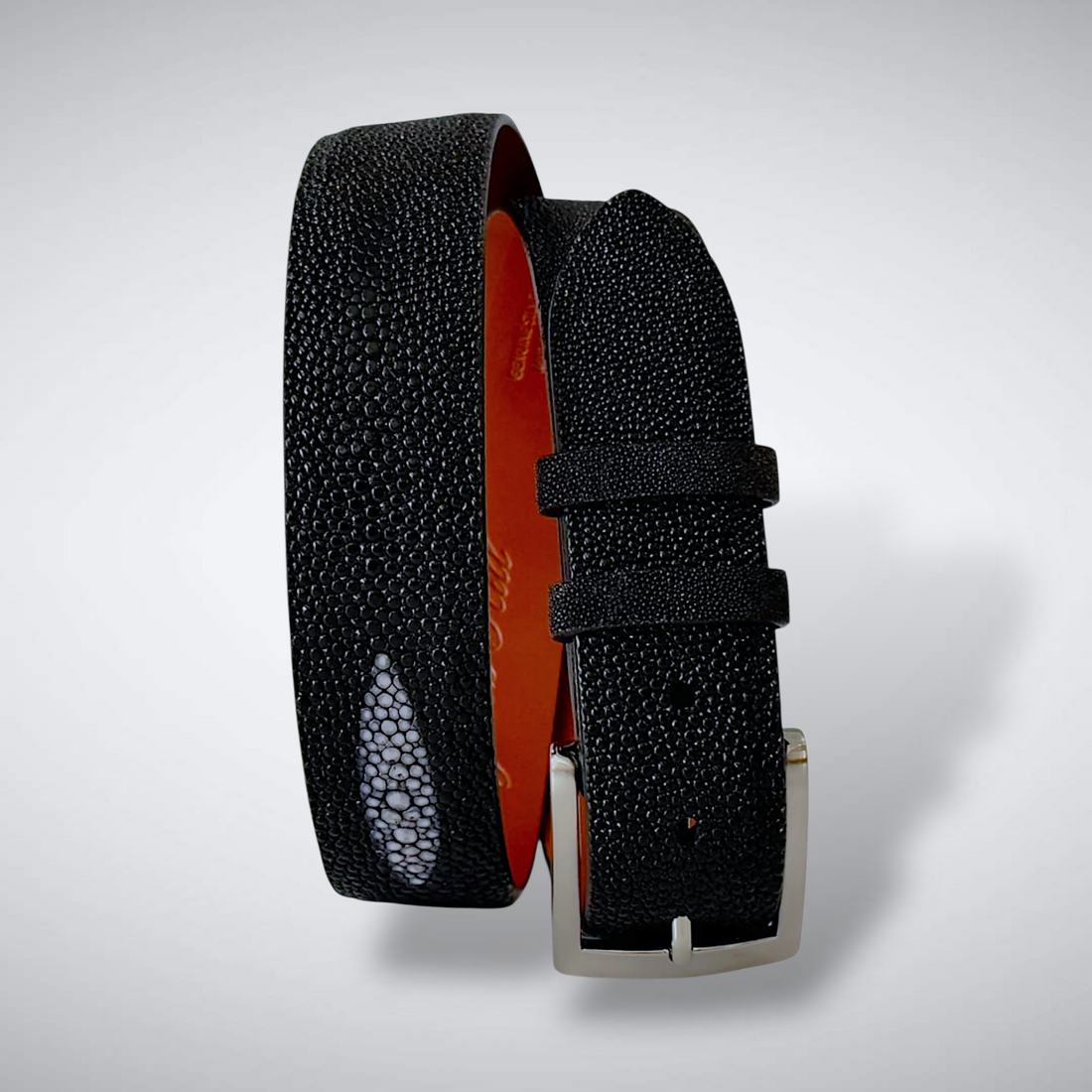 Stingray Belt: Black Single Crown