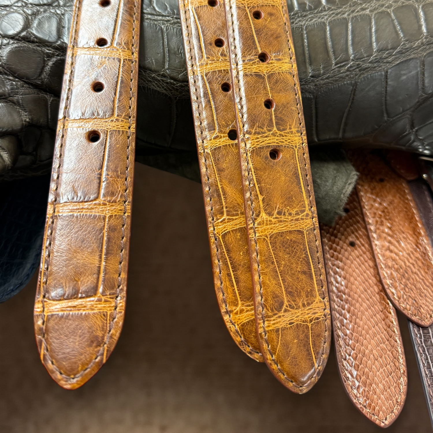 Close Up of multi tone brown Alligator Single Piece Belt 