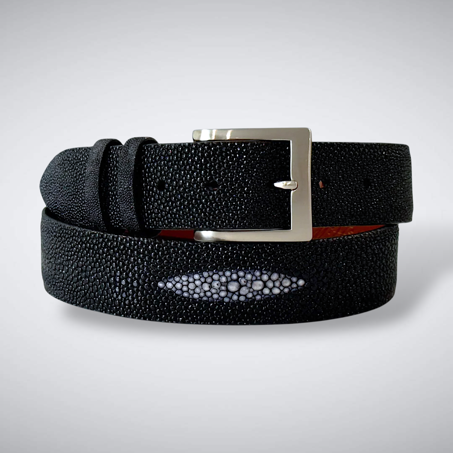 Stingray Belt — Black | Single Crown