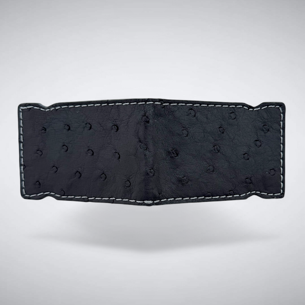 The Langer Cash Cover — Black Ostrich Quill
