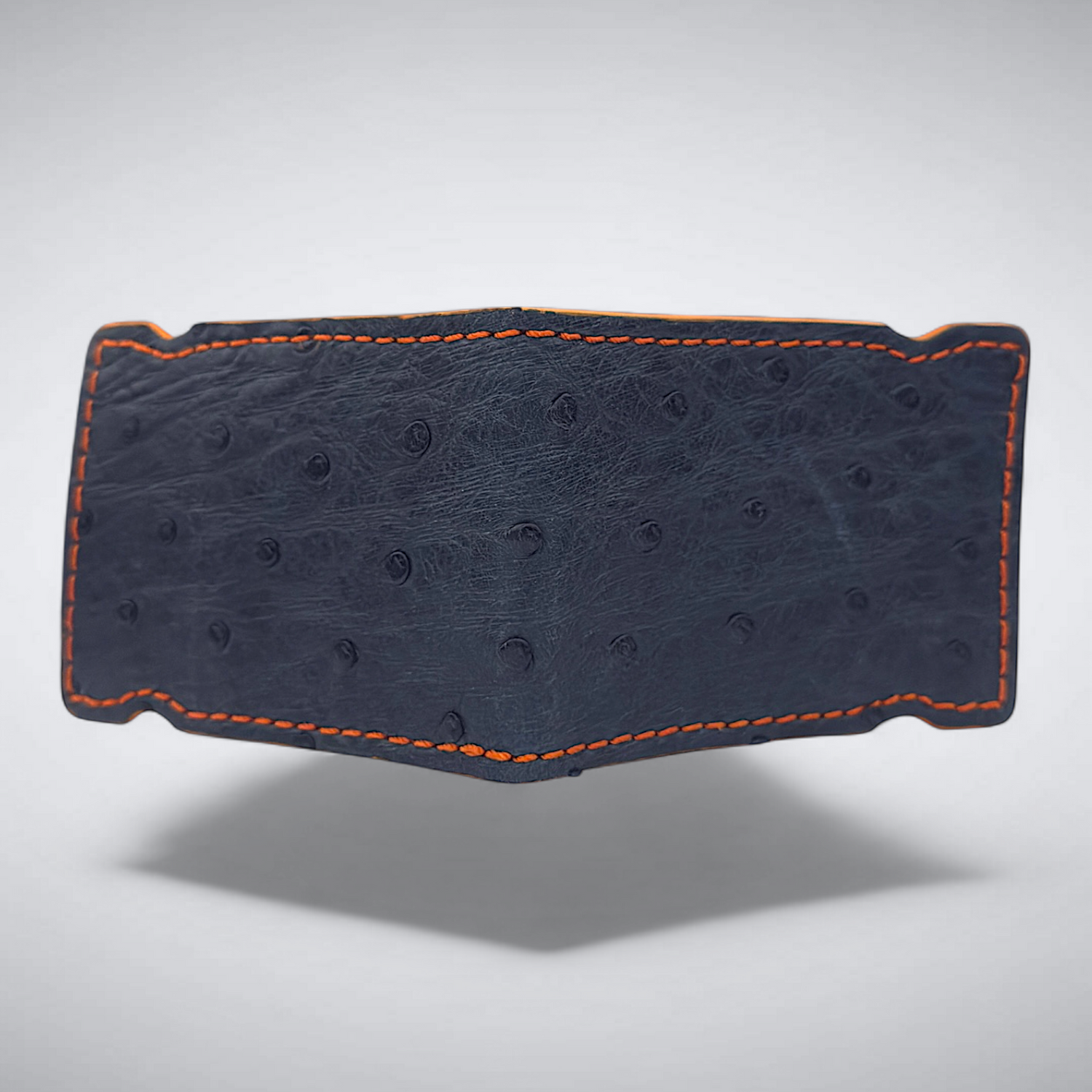 Ostrich Quill Cash Cover: W.D.E