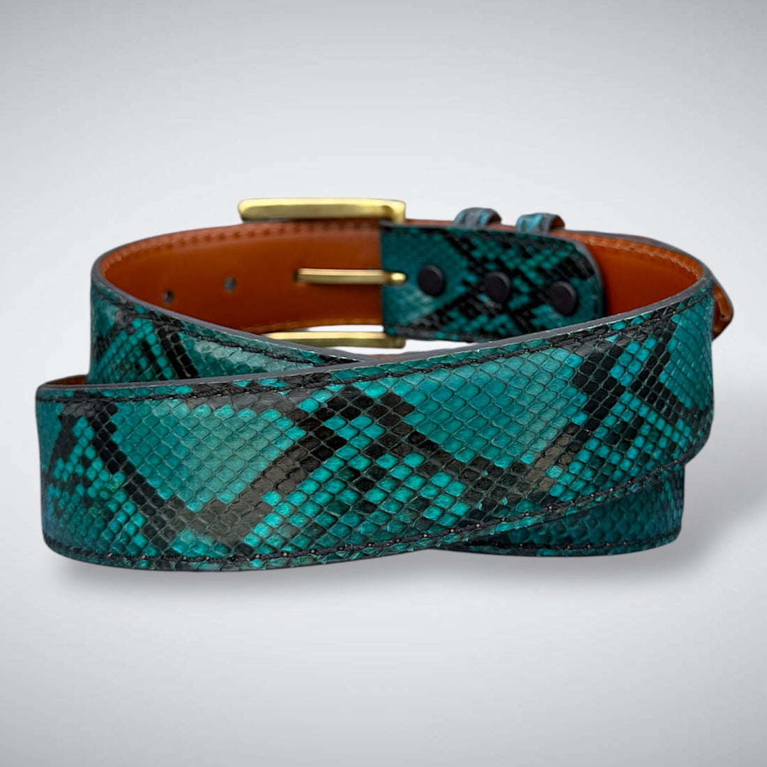 Python Belt: Marked Turquoise