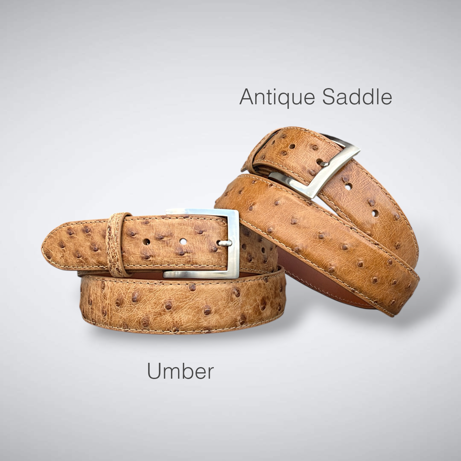 Ready To Ship Ostrich Quill Belt: Antique Saddle MD 1.5" width