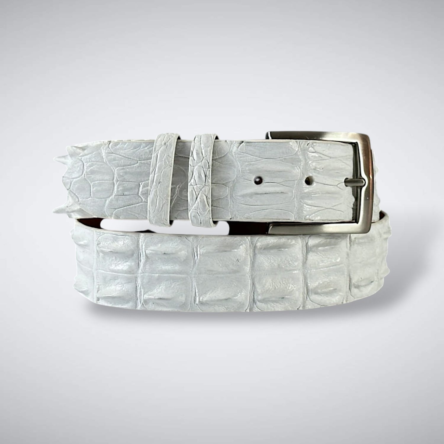 Saltwater Crocodile Belt: White