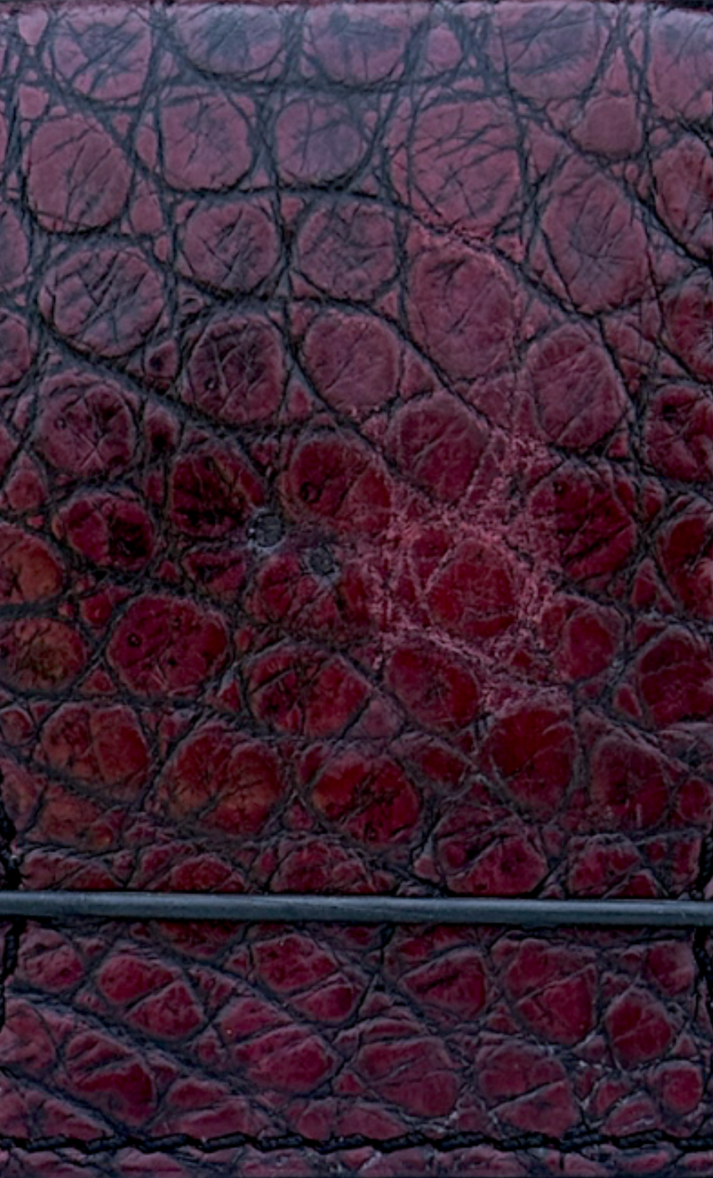Alligator Cash Cover — Bloodwood Blem