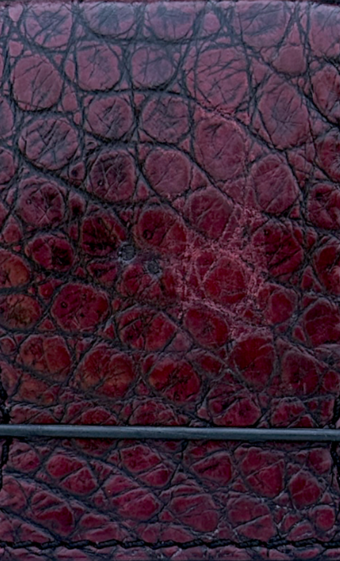 Alligator Cash Cover — Bloodwood Blem