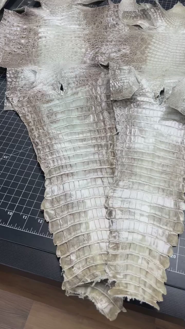 Himalayan Crocodile Belt - 1.5" width