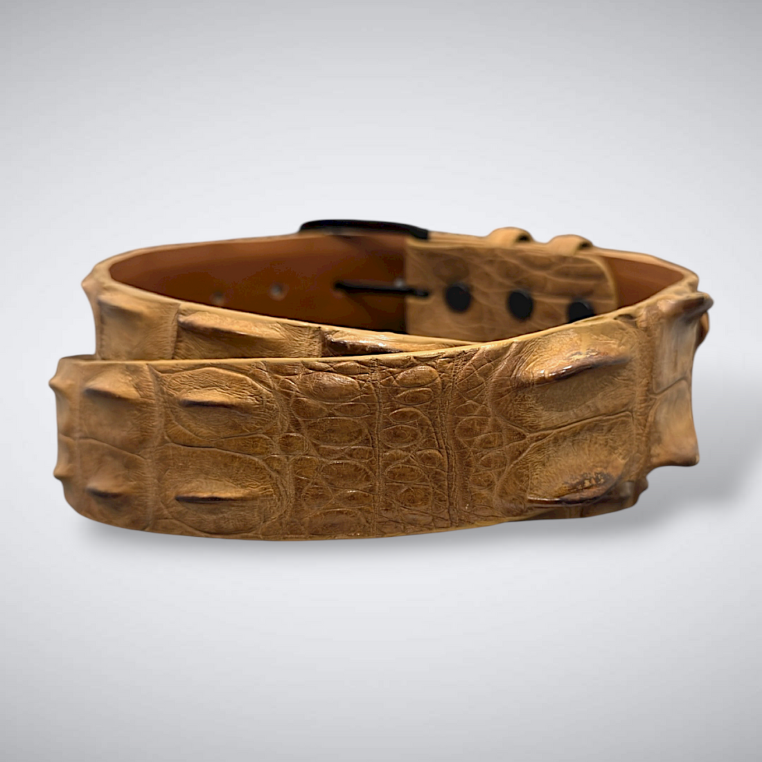 Saltwater Crocodile Belt: Sand