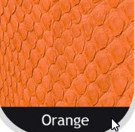 Python Belt: Orange